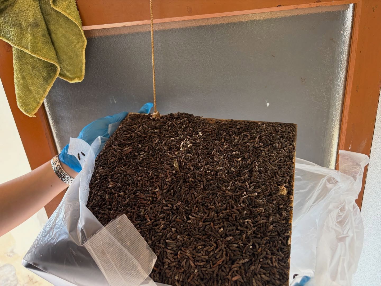 Images アルトフル株式会社