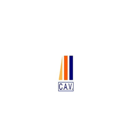 C.A.V. Centro Assistenza Visti Logo