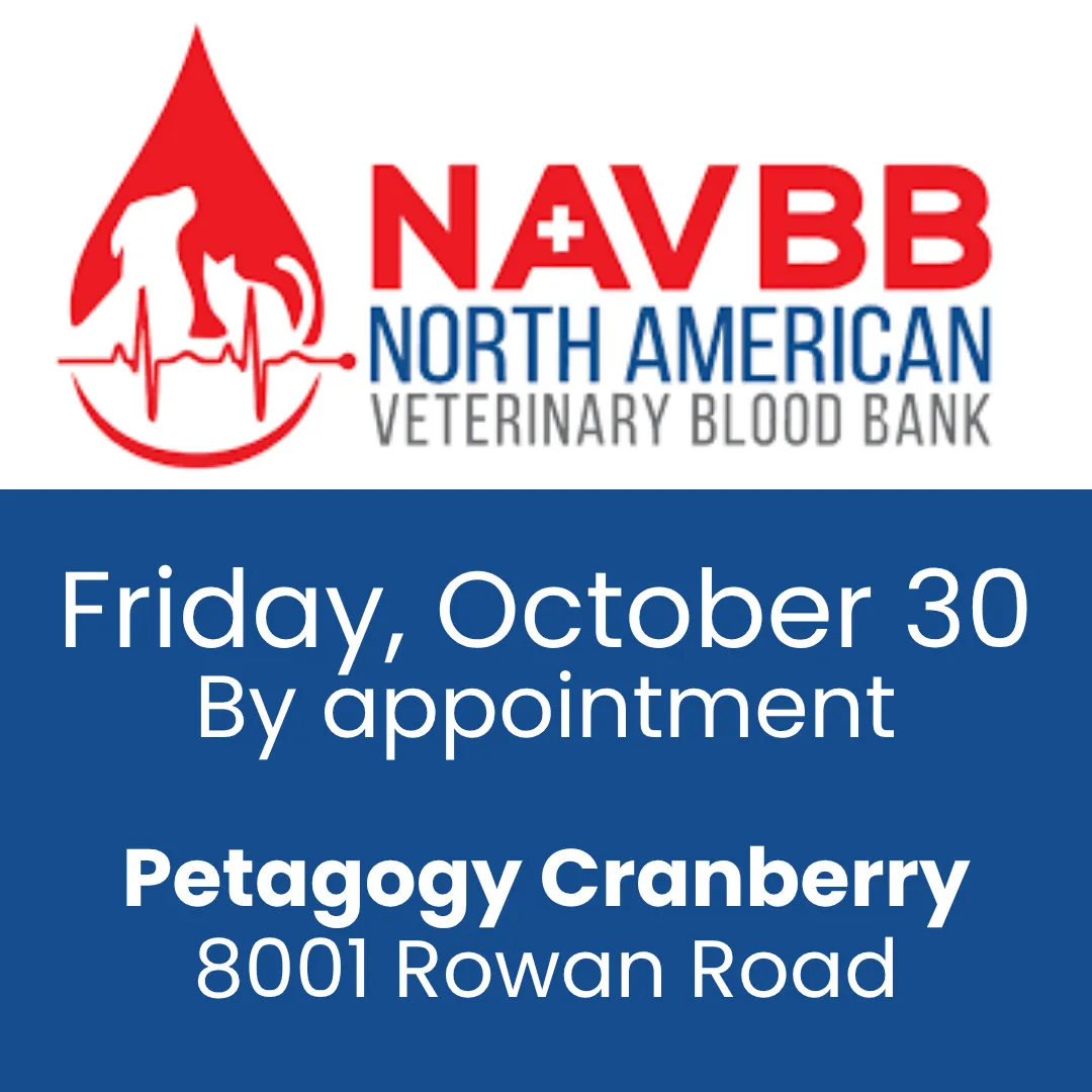 Image of Local Pet Event NAVBB Blood Drive Nearby