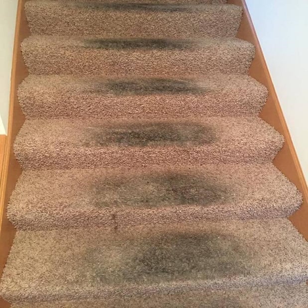 Images C & R Carpet Restoration