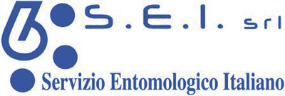 Images S.E.I. srl