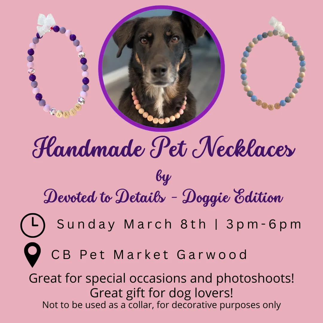 Image of Local Pet Event Handmade Pet Necklace Pop-Up Nearby