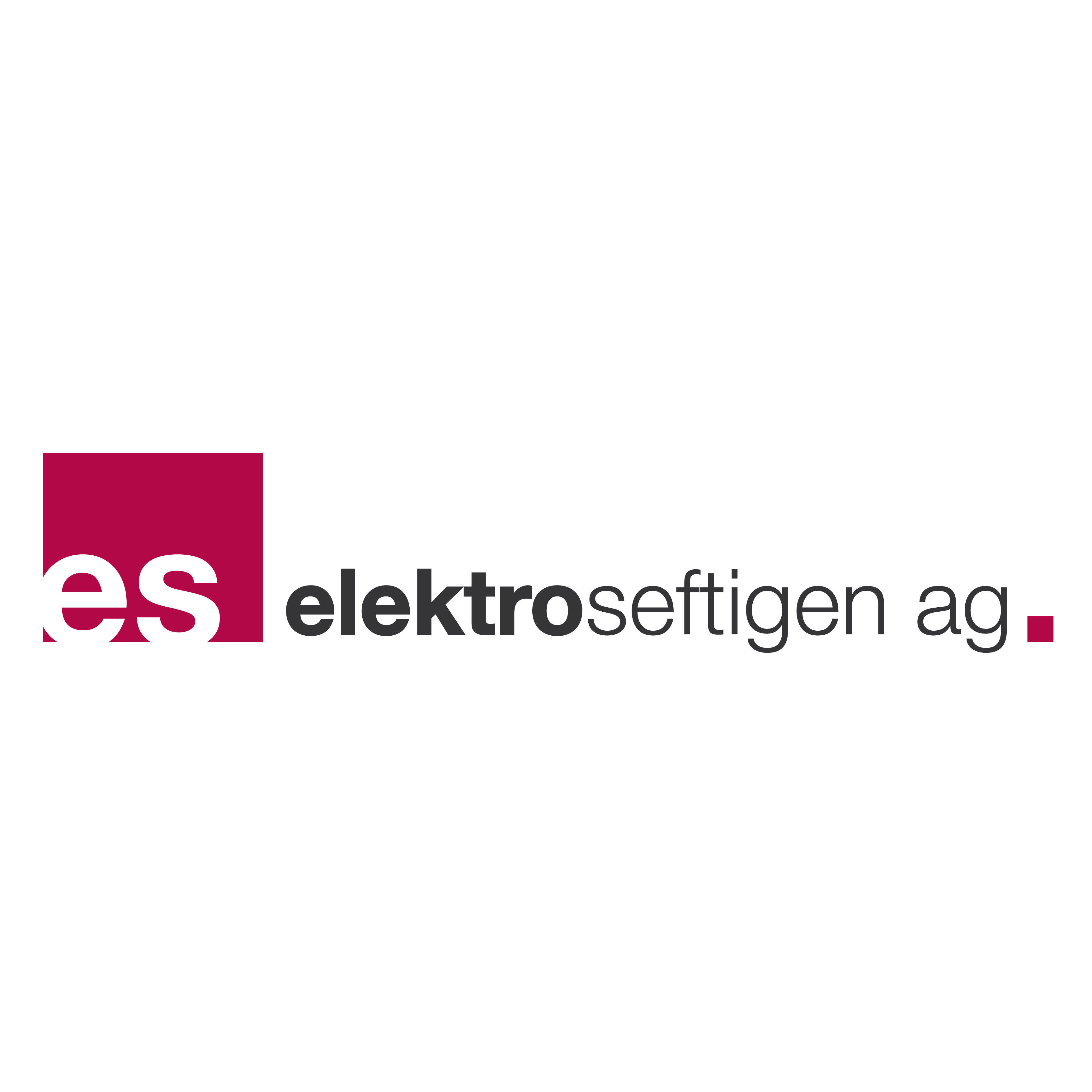 ES Elektro Seftigen AG Logo
