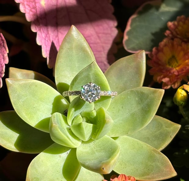 Images RockShop Fine Gems & Jewelry