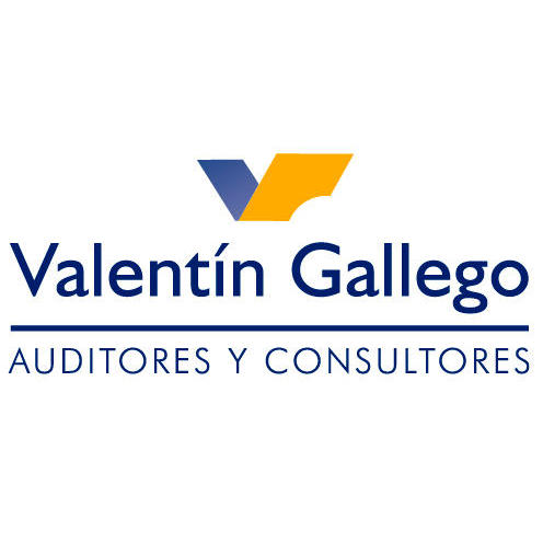Valentín Gallego Auditores y consultores Logo