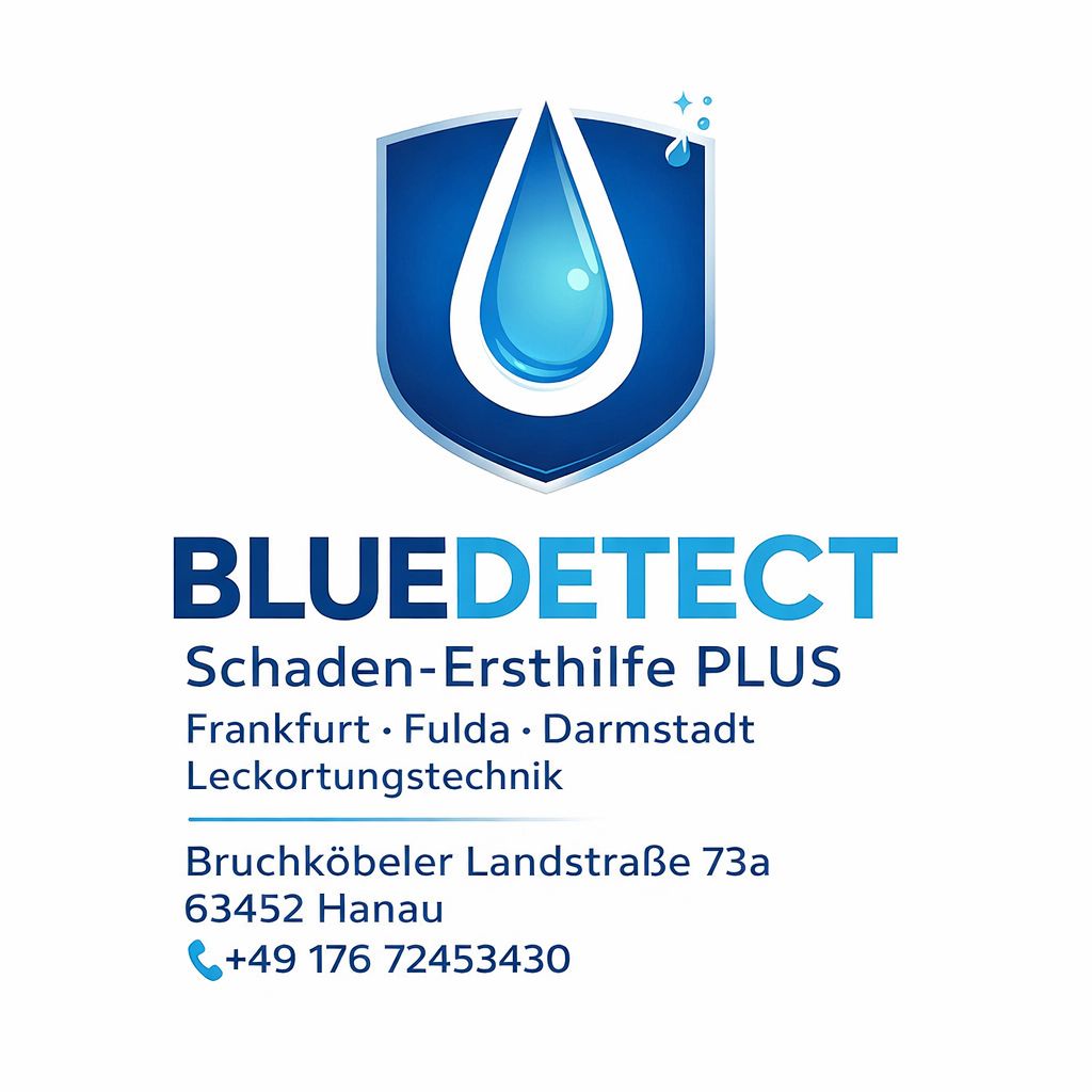 Bluedetect Cayir Leckortungstechnik  