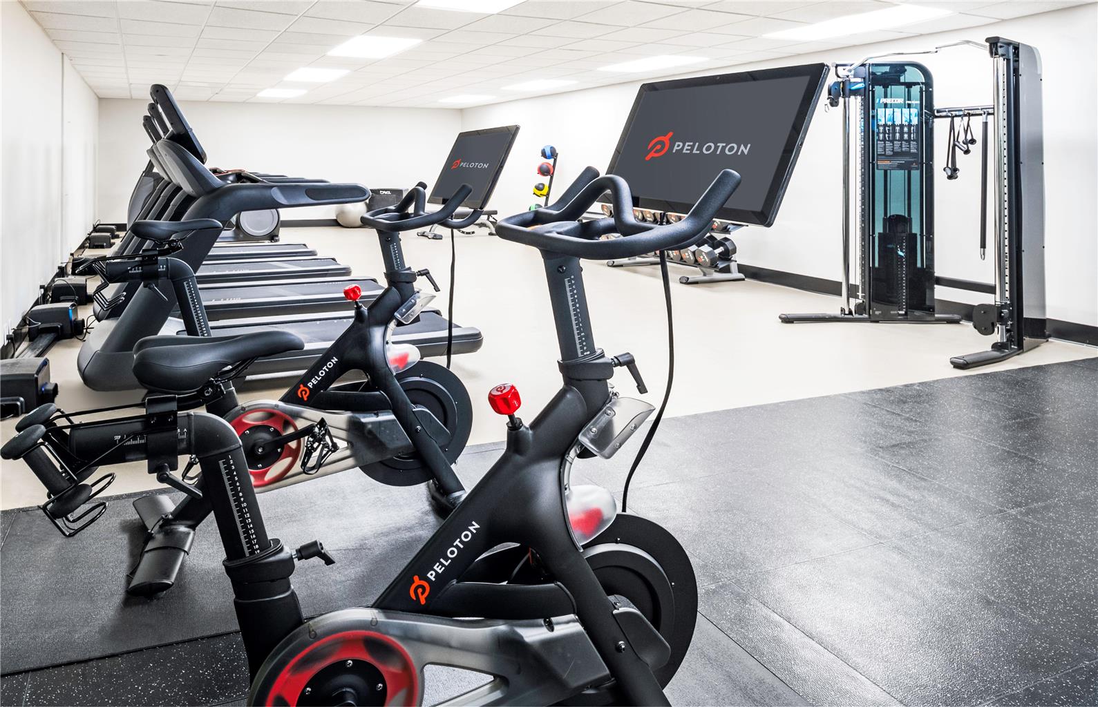 Health club  fitness center  gym 