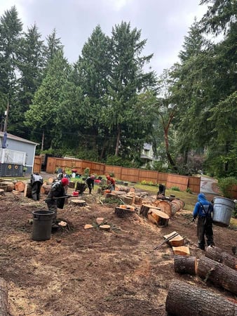Images Brothers Tree service & Landscaping