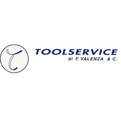 Tool Service Valenza S.r.l. Logo