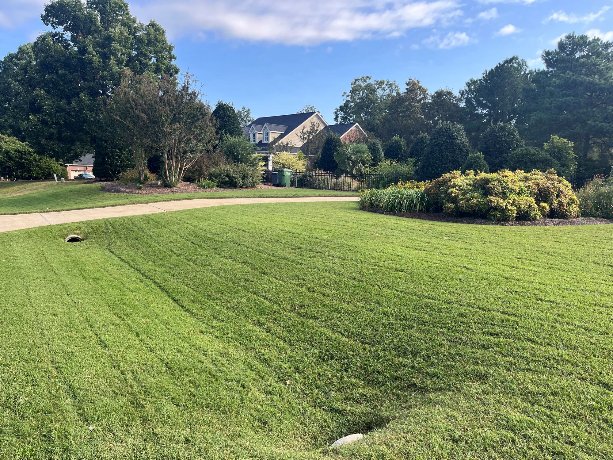 Enjoy beautiful landscaping without breaking the bank. Rudy's offers affordable landscaping solutions, ensuring your property looks its best within your budget.