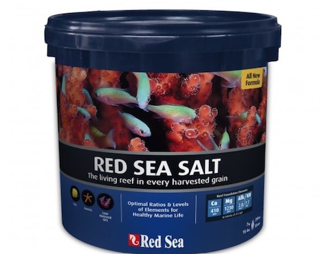 Reef Lounge Aquatics 3