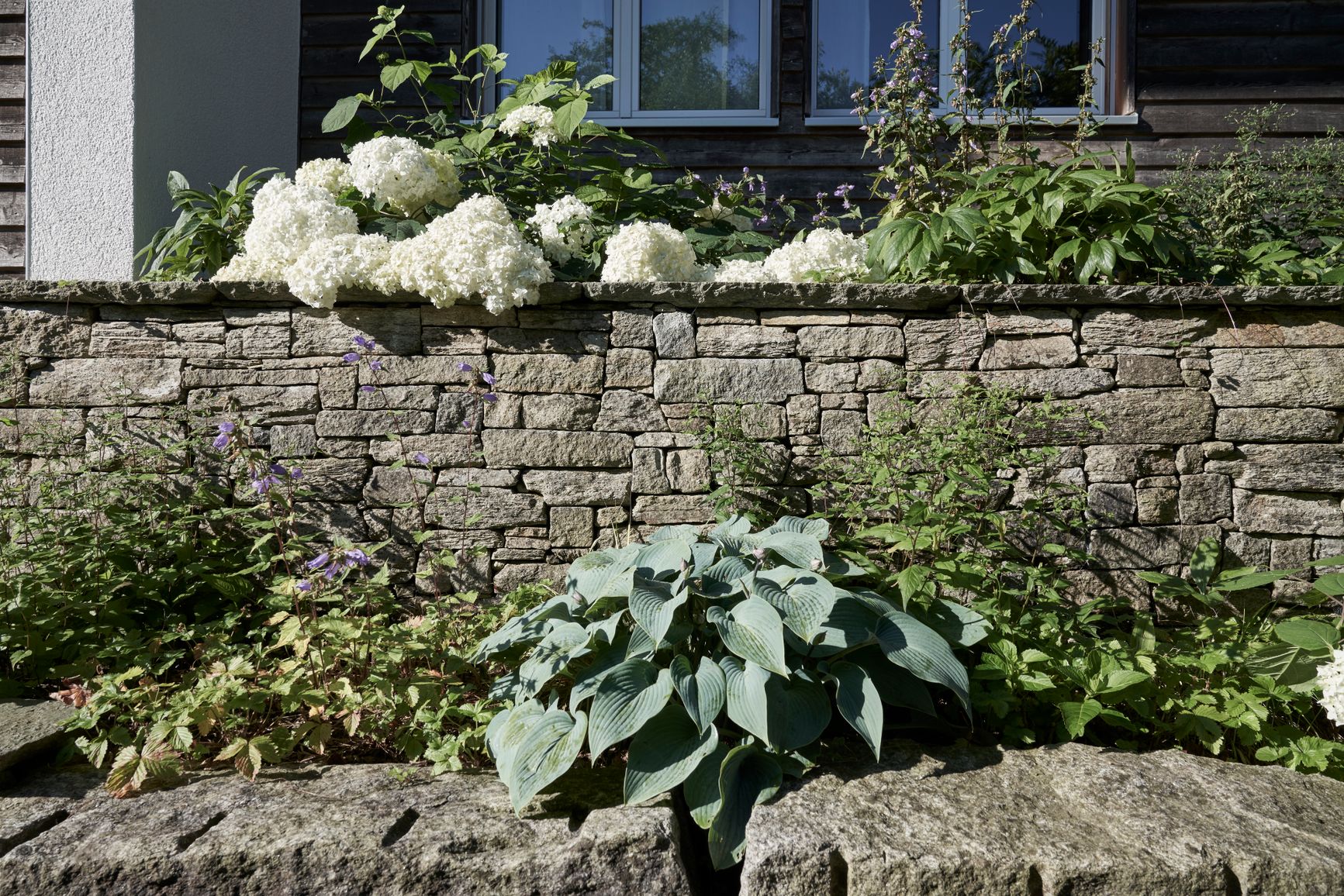 Bilder garten•kultur