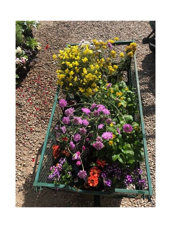 Images Old Valley Nursery