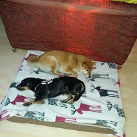 Mag. Ulrike Anzenberger-Wohlfarter. Ihre Psychotherapeutin in 1220 Wien nahe der U1 und in Wördern!, Goldemundweg 8/9 in Wien