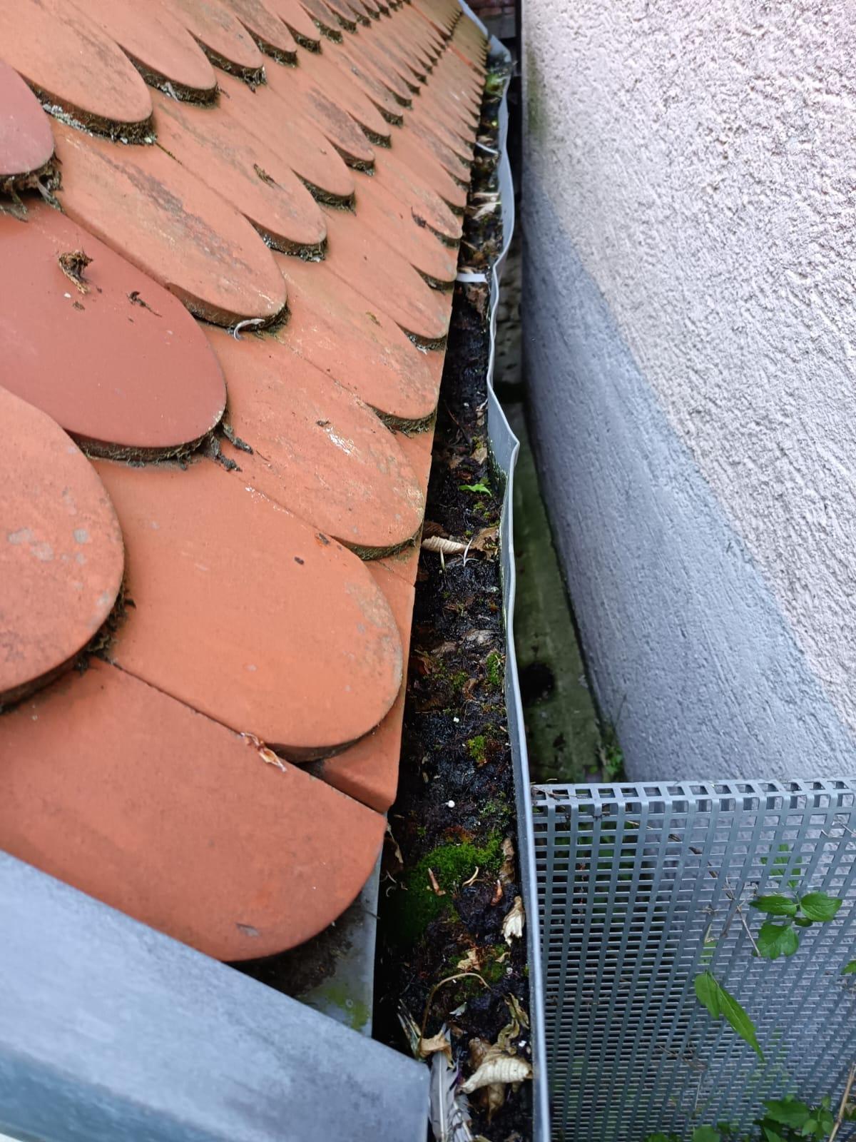 MR Hausdienstleistungen GmbH, Maybachstraße 15 in Leutenbach