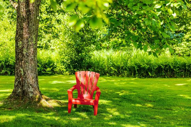 Images Princeton Westwood