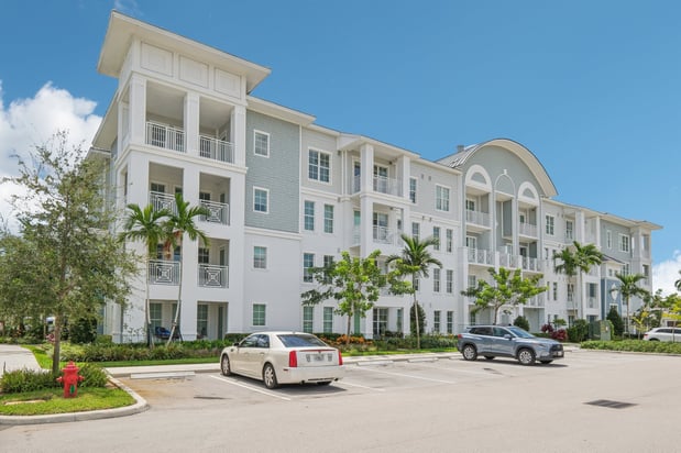 Images Ivory Lantana