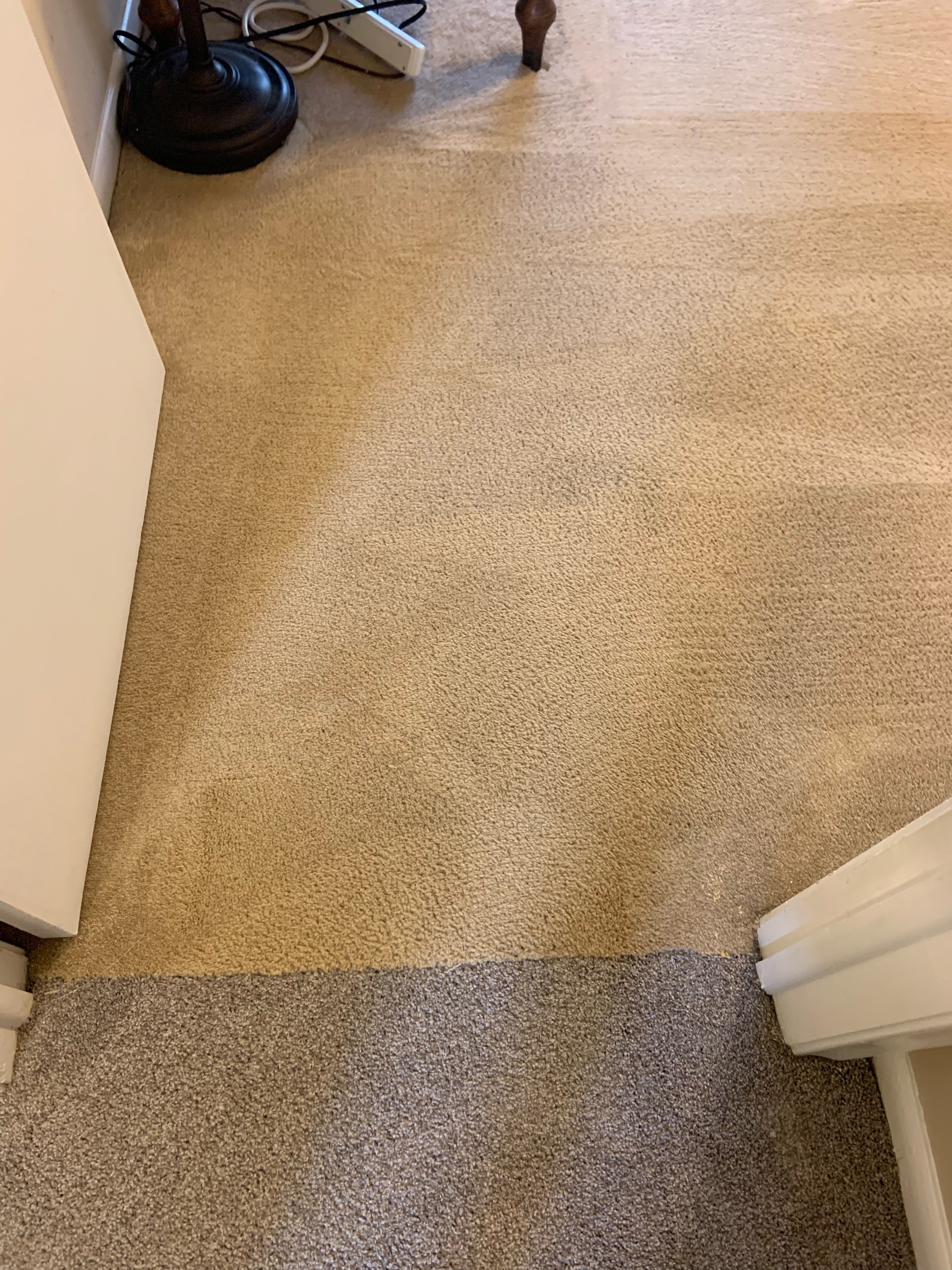 We are the top choice for dry carpet cleaning in and around New Albany, Ohio!  We also clean tile, g Brilliant Dry Carpet Care Columbus (614)591-4494