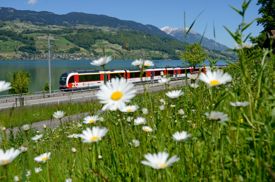 zb Zentralbahn AG – Reisezentrum Sarnen, Bahnhofplatz 1 in Sarnen
