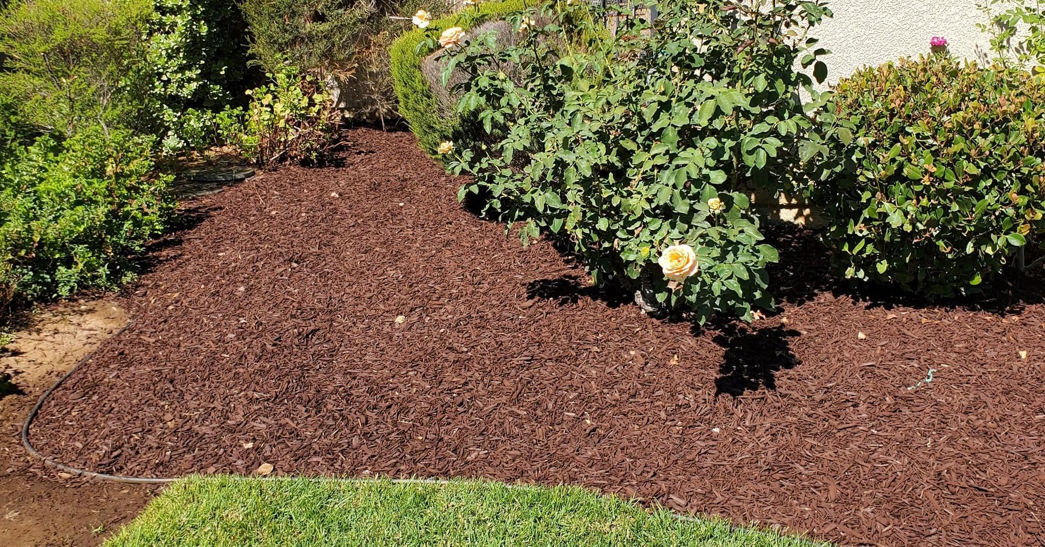 Francisco Landscaping & Construction -  Custom Outdoor
Improvement Projects 