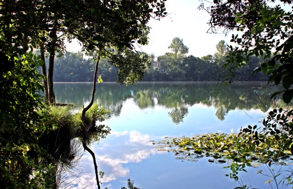 Bilder Bause Bestattungen