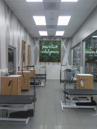 Images Petco Grooming