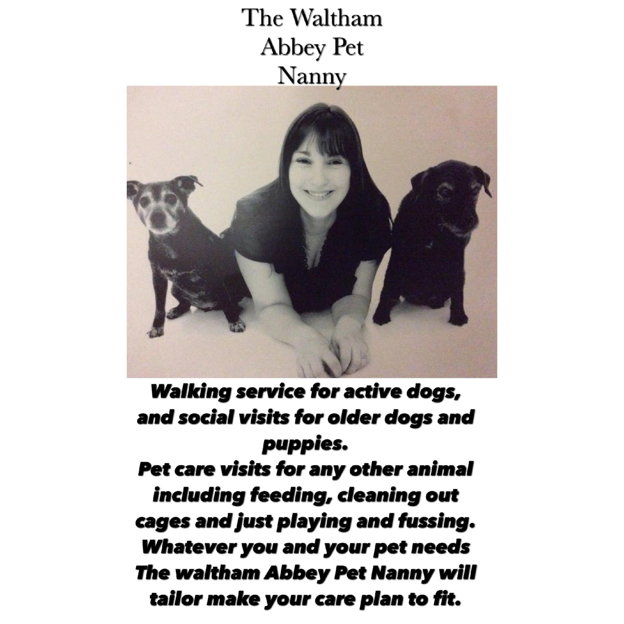 Images The Waltham Abbey Pet Nanny