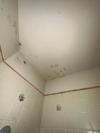 Images 24H Mold Inspection of Mission Viejo