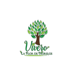 Vivero La Flor De Morelos Yautepec
