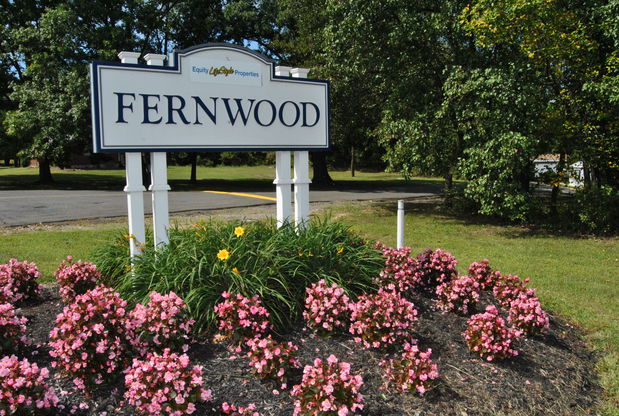 Images Fernwood