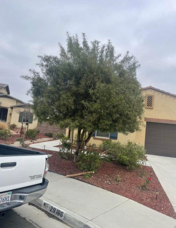 Images Palacios Landscaping