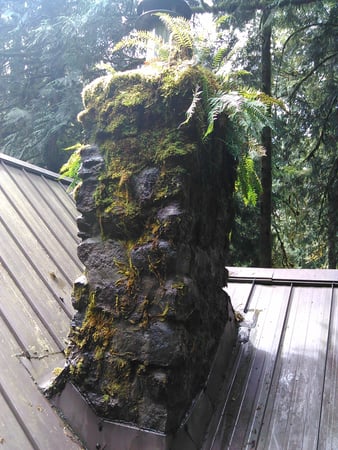 Images Adams Chimney Specialist LLC