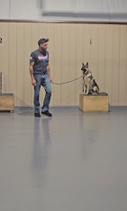 Images Pawsitive Dog Training by Juan Velarde