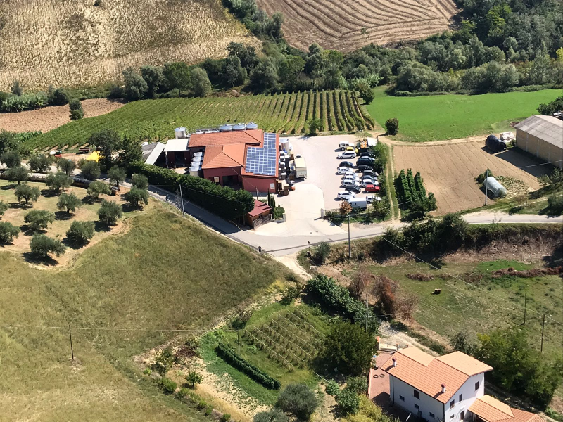 Azienda Vitivinicola La Quercia
