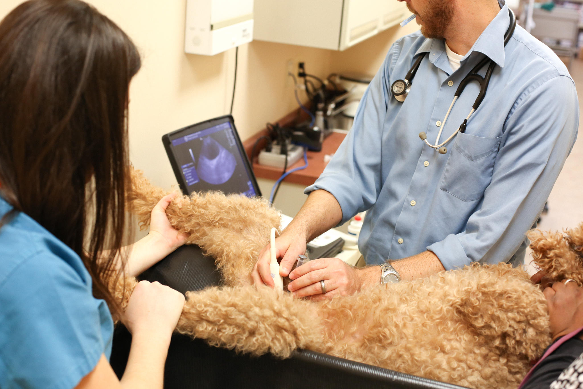 We’ve invested in advanced digital radiography and ultrasound technology to provide the highest level of care for your pets.