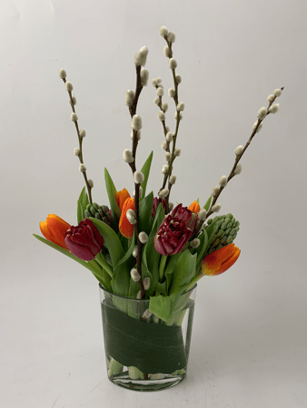 Images Blossoms