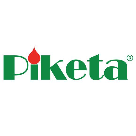 Piketa Oy Logo