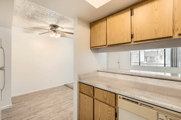 Images Rise at Estrella Park