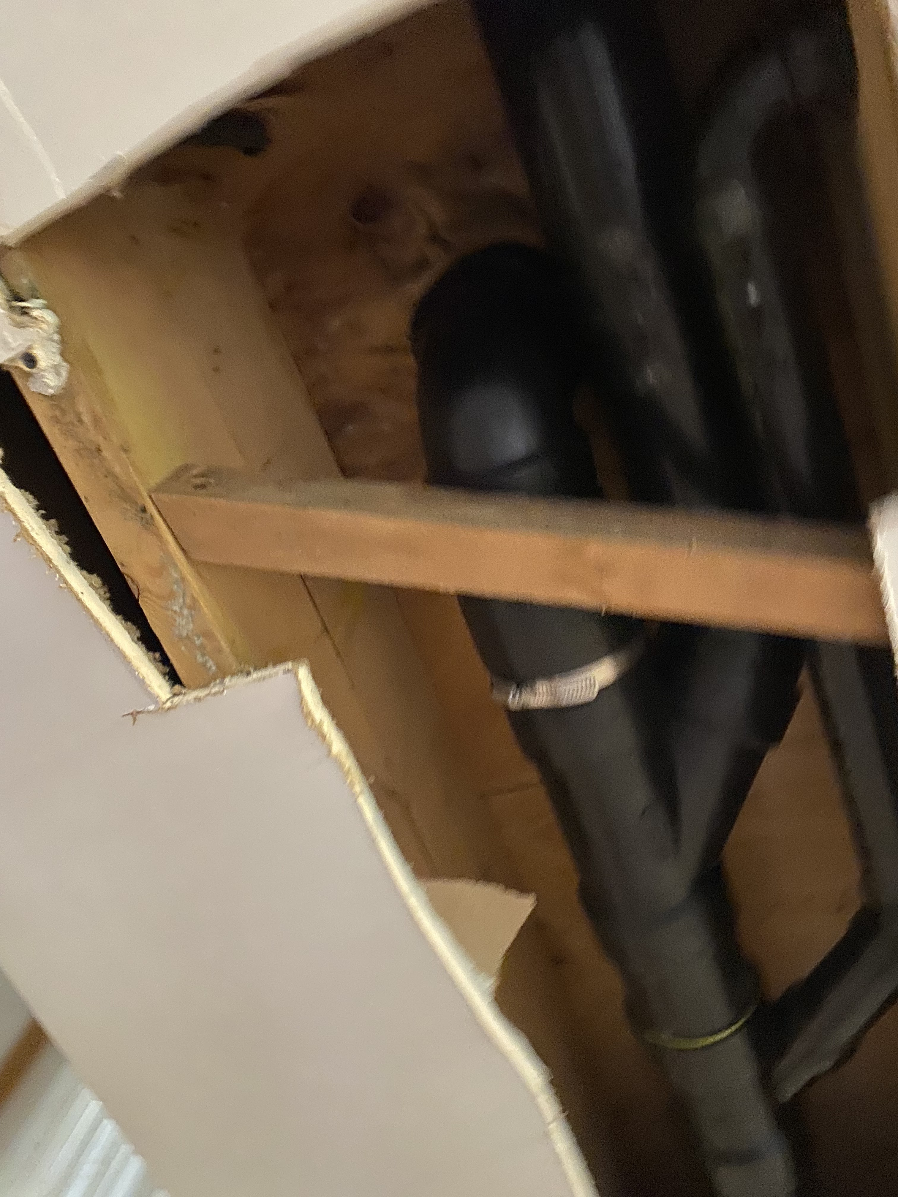 Images DrainCam Plumbing