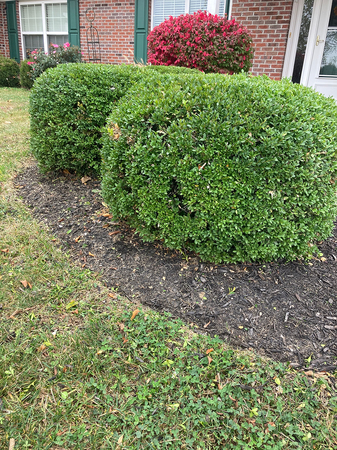 Images DW Lawn and Landscaping LLC