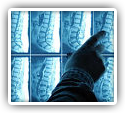 Images Otto Chiropractic SC