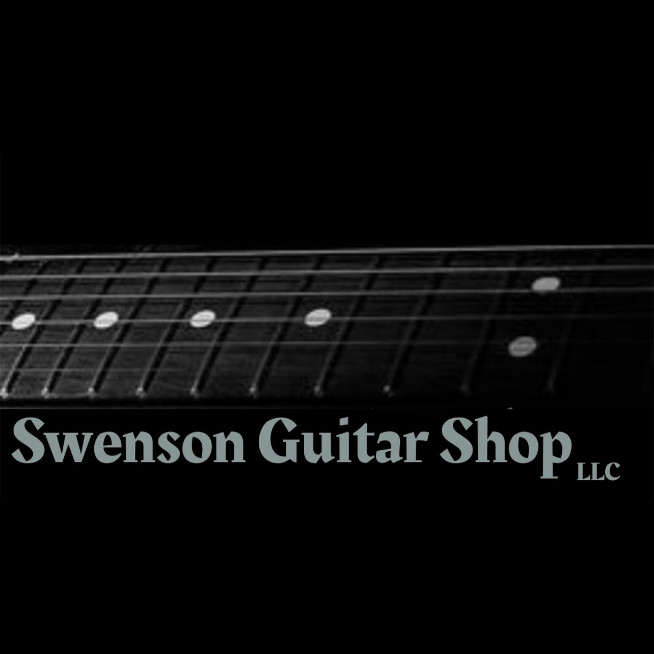 Swenson Guitar Shop - Sun Prairie, WI 53590 - (608)571-2996 | ShowMeLocal.com