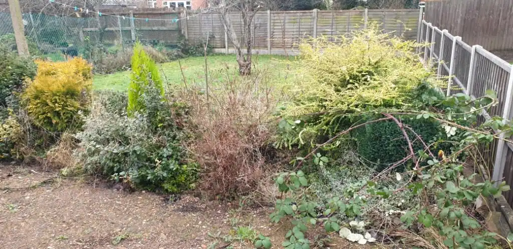 Images Kingston Views Landscaping