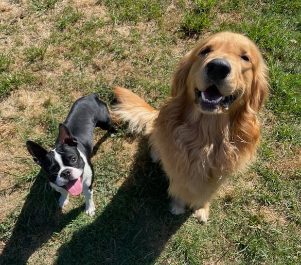 Images Davis McCord - State Farm Insurance Agent