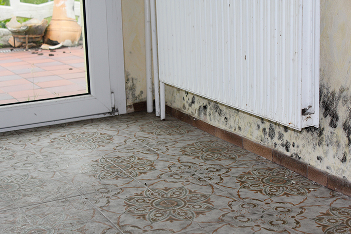 Ebs Inh. M. Raabe, Beselerstr. 42 in Husum