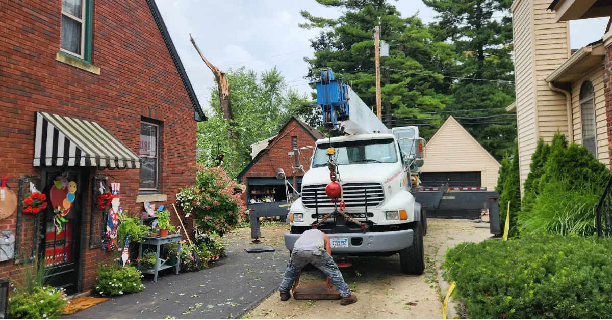 Shrub Removal & Trimming Service