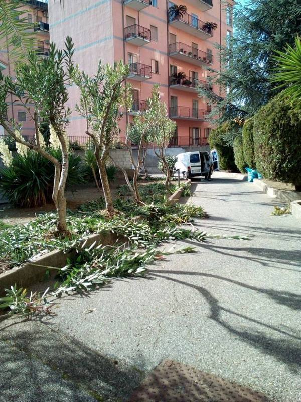 Images Ekosistem Ambiente