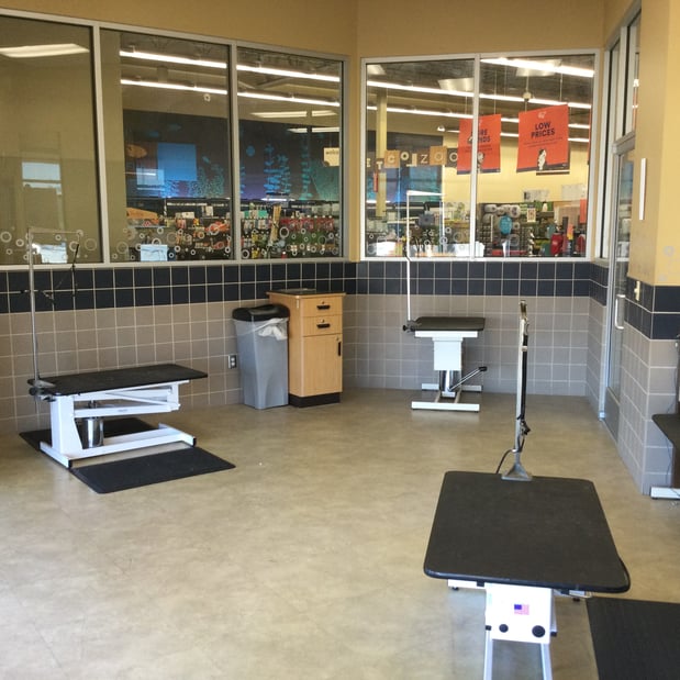 Images Petco Grooming