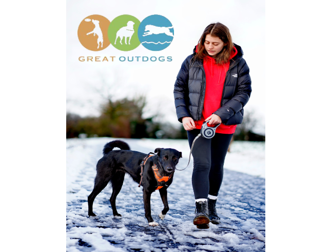 Images Great Outdogs