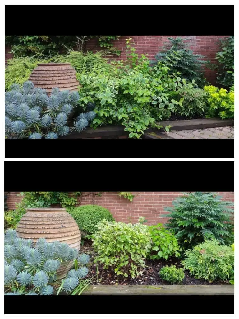 Images Clarke's Garden Care